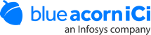 Logotype of Blue Acorn iCi