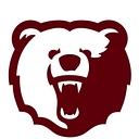 Logotype of Willow Springs R-IV School District